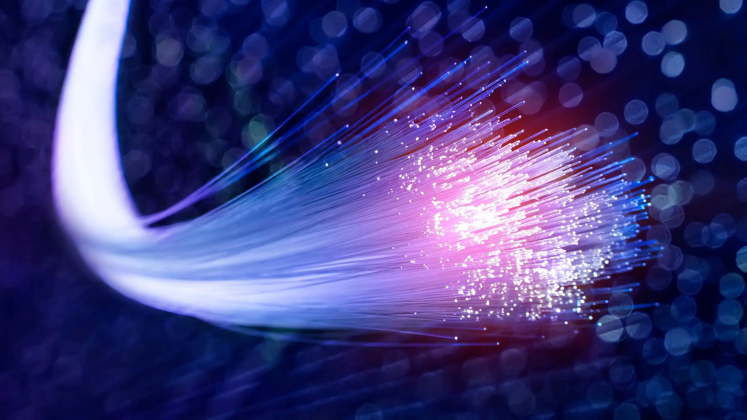 ‘Your Wi-Fi cable could be a secret microphone': How researchers turned an earthquake detection method into an accidental spy tool using AI